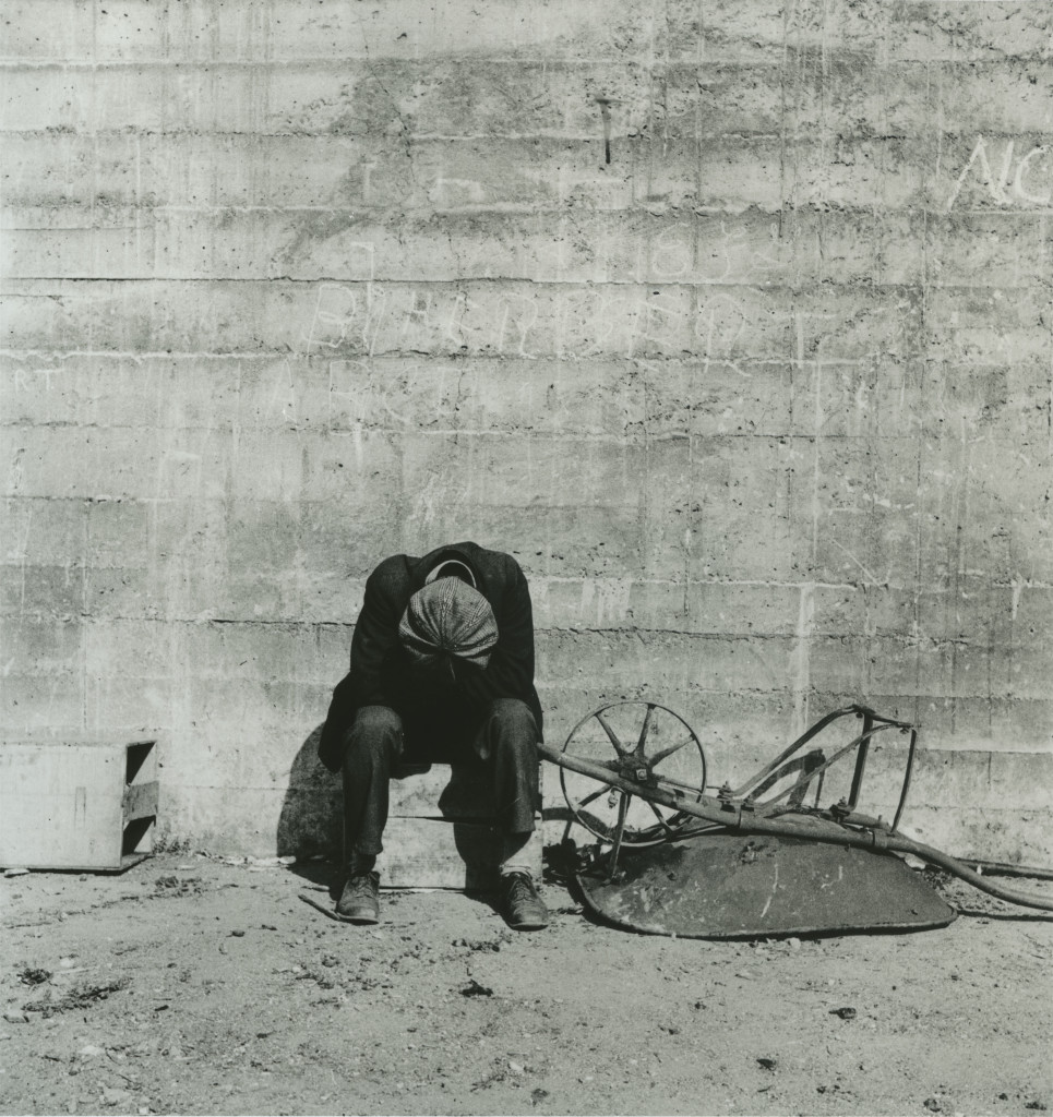 Dorothea Lange: Grab a Hunk of Lightning - Marcia G. Yerman